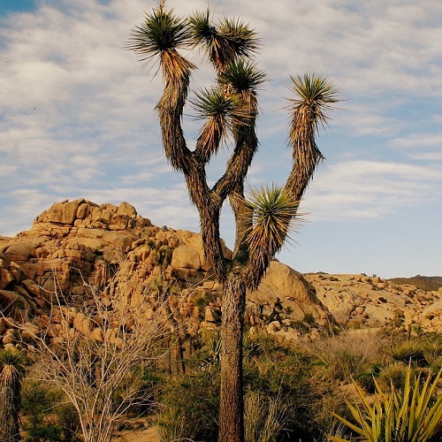 water transboundariness